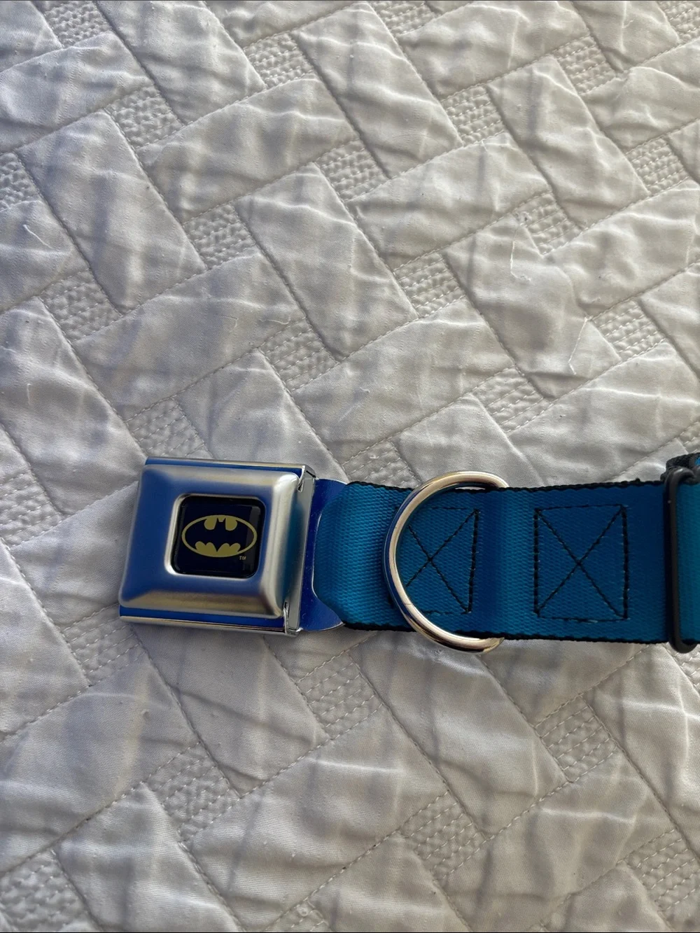 Batman Logo Blue Seatbelt-Style Dog Collar